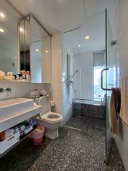 The Riverine By The Park (D12), Apartment #582150751